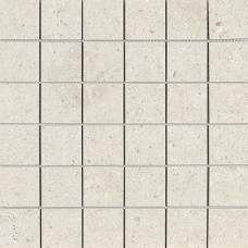 Мозаика 29,75*29,75 Nanoconcept 7.0 White Natural Mos 5*5